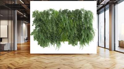 3d illustration of wall plant isolated on transparent background Wall mural