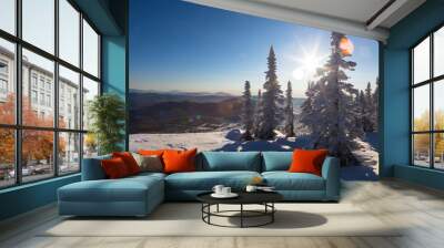 Winter in the mountains, trees covered with snow. beautiful sunlight Wall mural