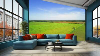 Aerial view green farmland and rolling hill landscape with scenic drive in Hill Country, West Texas, USA. Horizontal shot countryside and ranch flyover, blue sky Wall mural