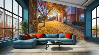 Beautiful view from backyard of apartment complex building at evening time during fall season. Pile of dried leaves on grass lawn and bright yellow fall foliage Wall mural