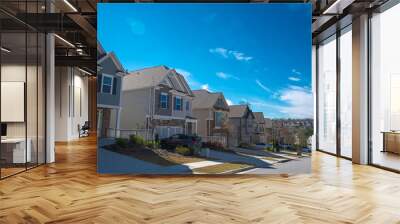 Quiet residential street leading down a steep hill with row of two-story houses, new development subdivision neighborhood with upscale homes suburbs Atlanta, Georgia, USA Wall mural