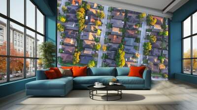 Residential house aerial Wall mural