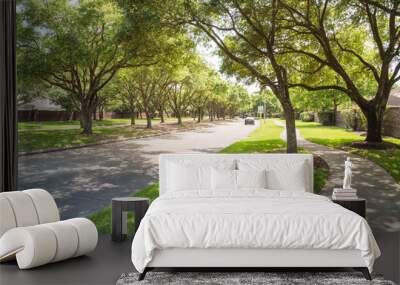 side view of asphalt road, street in suburban residential area with lot of green trees in katy, texa Wall mural