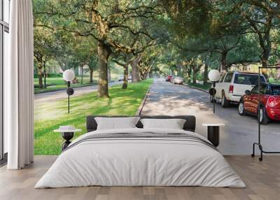 Side view of residential street covered by live oak arched tree branches at upscale neighborhood in Houston, Texas. Car parked side street, woman walks dog. America is excellent green, clean country Wall mural