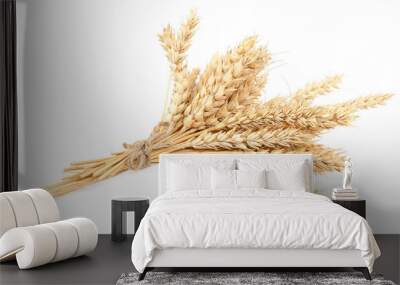 Sheaf of wheat ears on white background. Wall mural