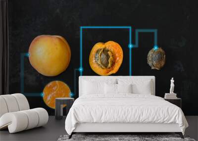 AI Food tech precession apricot sliced and machine learning Wall mural