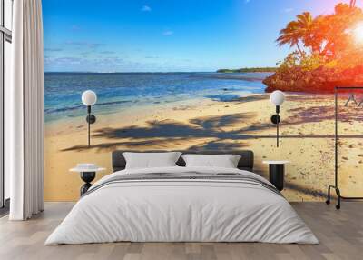 The shadow of the palm trees on the sand beach in Fiji Wall mural