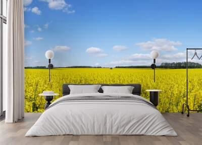 Idyllic landscape, yellow colza fields under the blue sky and wh Wall mural