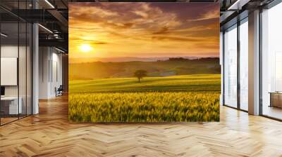 Idyllic view, foggy Tuscan hills in light of the rising sun Wall mural