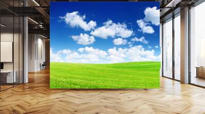 Idyllic view, green hills and blue sky with white clouds Wall mural