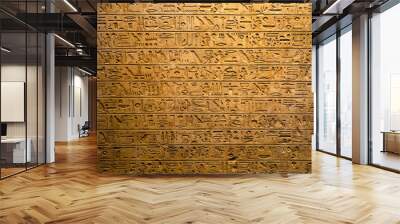 Old Egyptian hieroglyphs on an ancient background. Wide historical and culture background. Ancient Egyptian hieroglyphs as a symbol of the history of the Earth. Wall mural