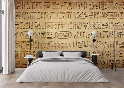 Old Egyptian hieroglyphs on an ancient background. Wide historical background. Ancient Egyptian hieroglyphs as a symbol of the history of the Earth. Wall mural