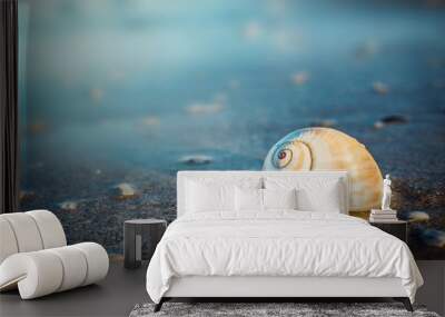 Sea shell on the sea and sandy beach blurred background. Write Your Text Here. Wall mural