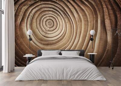 Stump of tree felled - section of the trunk with annual rings. Slice wood. Wall mural