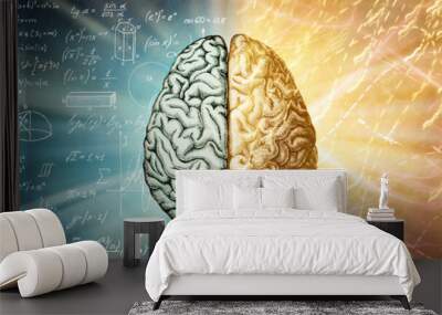 The human brain is a creative background. The right creative hemisphere compared to the left logical hemisphere. A concept on the topic of education, science and medicine. Wall mural