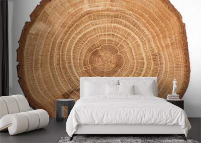 Tree wood cut isolated on white background. Wall mural