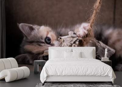 Cute kitten playing with paper on a string. Wall mural