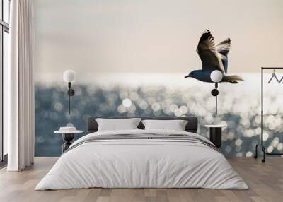 Herring gull Larus argentatus fishing in a small bay. Wall mural