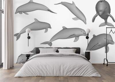 dolphin collection isolated on white Wall mural