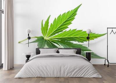 Fresh Green Cannabis Leaf Isolated on White Background Wall mural