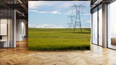 Power lines in a farm field Wall mural