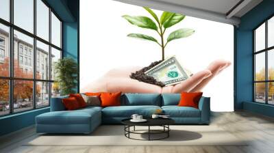 Hand holding a small plant with a dollar bill, symbolizing financial growth and investment opportunities. Wall mural