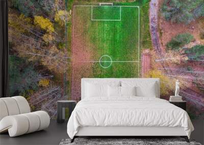 Aerial drone view of football soccer pitch field, green grass fall autumn vibrant pitch playground with fallen multicolored leaves in the forest, hidden in the woods Wall mural