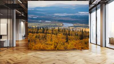 Swedish autumn fall vibrant landscape during hiking to Kurravaara mountain in Norrbotten county, Kiruna Municipality, Northern Sweden Wall mural