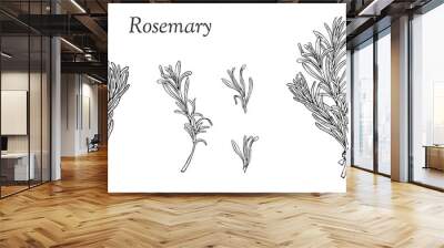 Set with rosemary hand drawn outline elements Wall mural