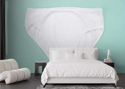 Lady's underwear white cotton on isolated background. Wall mural