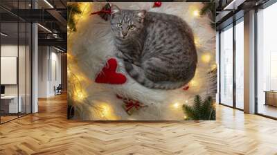 Striped gray kitten lifestyle indoor. Pet and gifts for the New Year. Wall mural