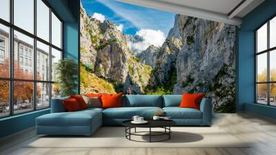 Ruta del Cares in Picos de Europa National Park, Spain	 Wall mural