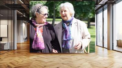 two mature ladies walking friendly to the park Wall mural