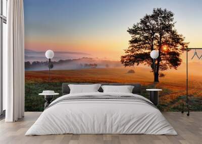 alone tree on meadow at sunset with sun and mist Wall mural