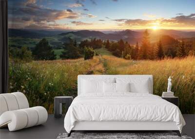 Beautiful summer panoramic landscape in mountains - Pieniny / Tatras, Slovakia Wall mural