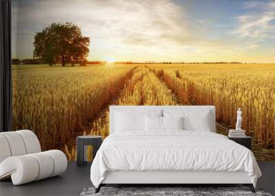 gold wheat flied panorama with tree at sunset, rural countryside Wall mural