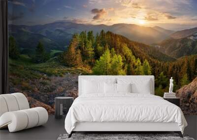 Low Tatra mountain summer landscape. meadow with huge stones among the grass. Wall mural