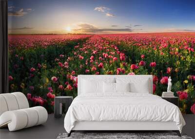 Panorama landscape of poppy purple field with sun Wall mural