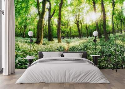 Panorama of white flowers garlic with sun at sunset in green forest, Spring landscape Wall mural