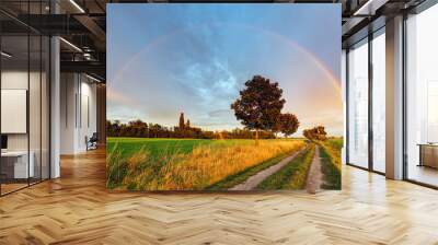 rainbow over field road Wall mural