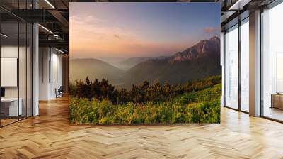 Roszutec peak in sunset - Slovakia mountain Fatra Wall mural