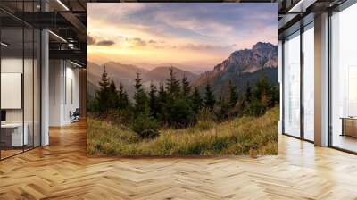 Slovakia mountain peak Rozsutec Wall mural