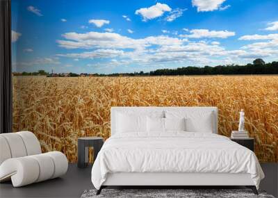 Sunny wheat field Wall mural