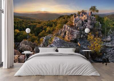 Sunset in forest with rocky mountain hill Wall mural