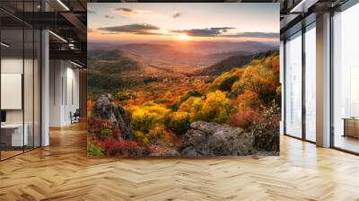 Sunset landscape with high peaks and valley with autumn spruce forest under vibrant colorful evening sky in forest mountains. Wall mural