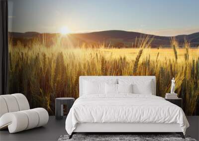 sunset over wheat field Wall mural