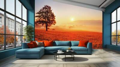 tree and sun Wall mural