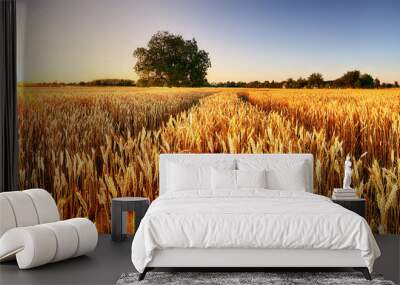 Wheat flied panorama with tree at sunset, rural countryside - Agriculture Wall mural