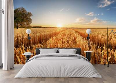 Wheat flied panorama with tree at sunset, rural countryside - Agriculture Wall mural