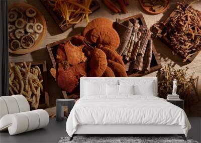 traditional chinese medicine with herb and spices in brown wooden background , for medicine advertis Wall mural